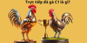 Khái niệm trực tiếp đá gà C1 